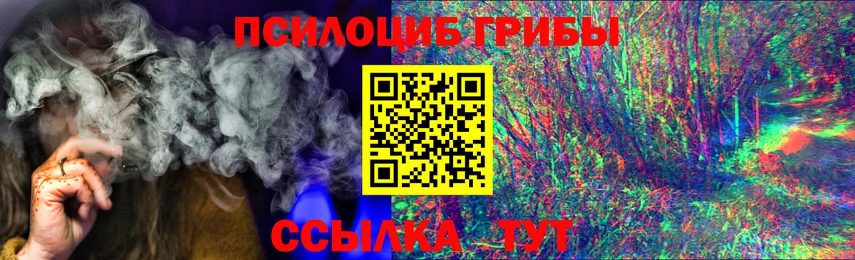 Псилоцибиновые грибы MAGIC MUSHROOMS Видное