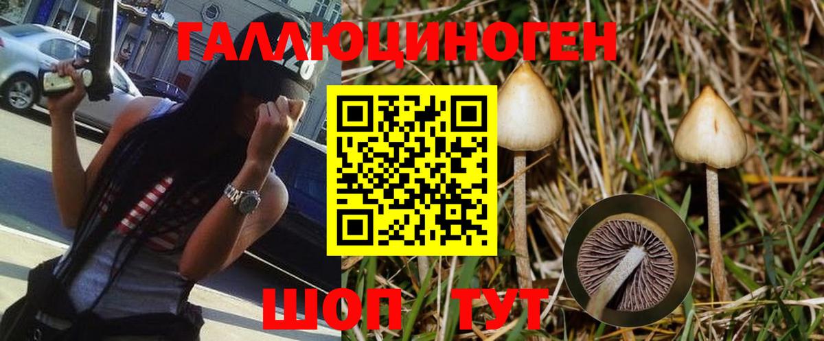 Псилоцибиновые грибы ЛСД  Псилоцибиновые грибы Magic Shrooms  Видное  Вход с VPN 
